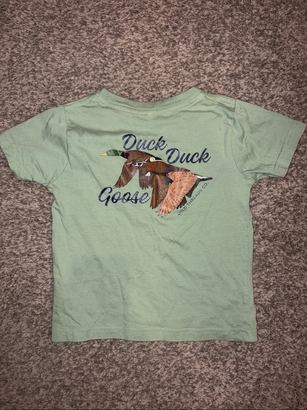 Wild Threads Duck Duck Goose Graphic Kids T-Shirt - Light Green